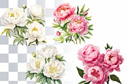 Peony Watercolor Clipart Set, a Decorative Illustration by Loony Dream Designs (Thumbnail 2 of 4)