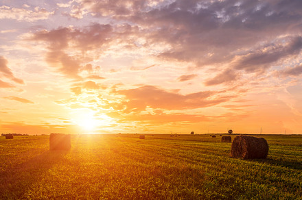 Golden sunset rolling field with hay bales. Panoramic farm lands, a Nature Photo by Eugene_Photo