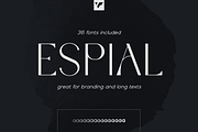 Espial typeface - 36 fonts, a Sans Serif Font by VP Fonts (Thumbnail 1 of 22)