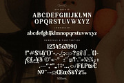 Softers Beautiful Classic Serif Font, a Serif Font by Storytype Studio (Thumbnail 12 of 14)