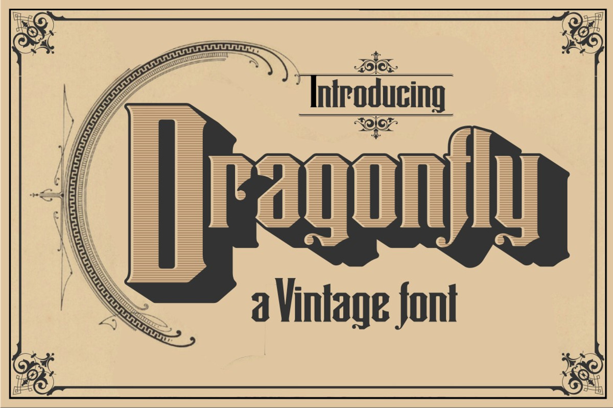 Dragonfly, a Font by Art And Sign Unlimited (Photo 1 of 4)