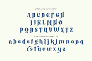 Kind Breakout-Retro Serif Typeface, a Sans Serif Font by moriztype (Thumbnail 8 of 18)