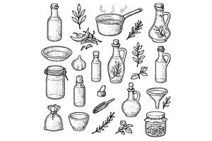 Culinary Herbs & Cooking Utensils, an Object Graphic by RT Studio