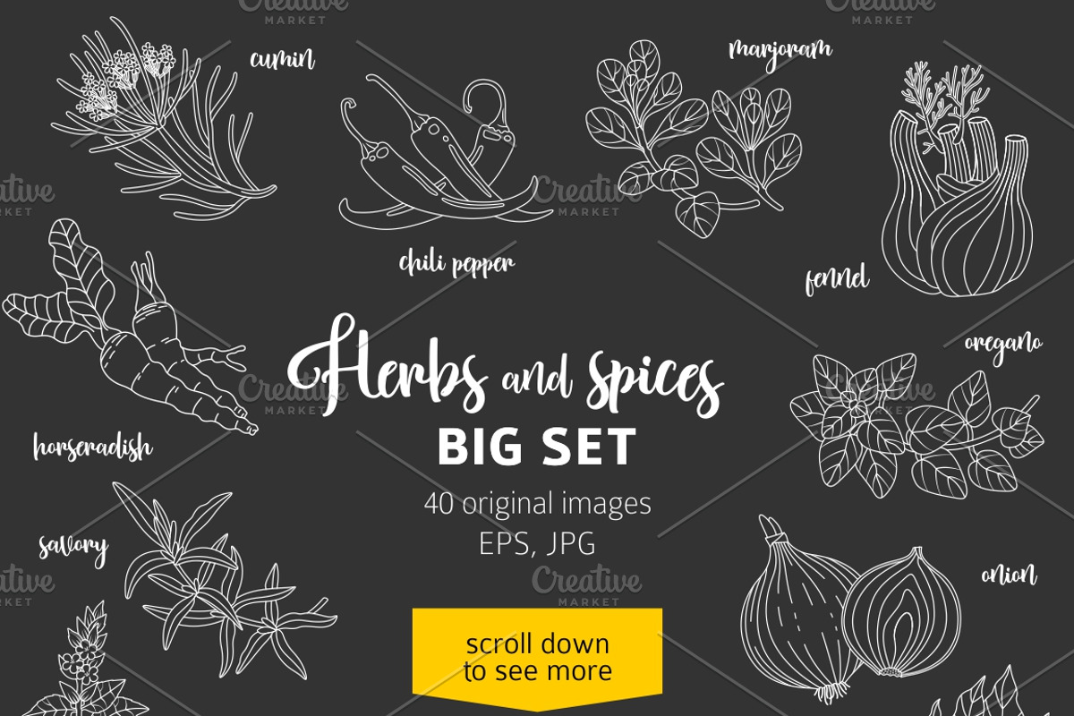 40 spices and herbs on dark, a Food Illustration by Primula`s shop (Photo 2 of 2)
