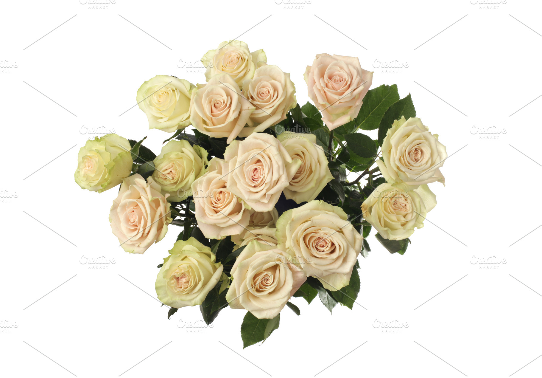 Flower roses bouquet background., a Background Photo by Liliia Rudchenko