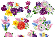 Beautiful bouquet of flowers, a Decorative Illustration by Hanna Hryharenka (Thumbnail 3 of 10)