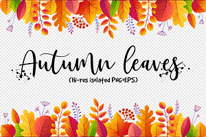 Textured autumn leaves (PNG+EPS)