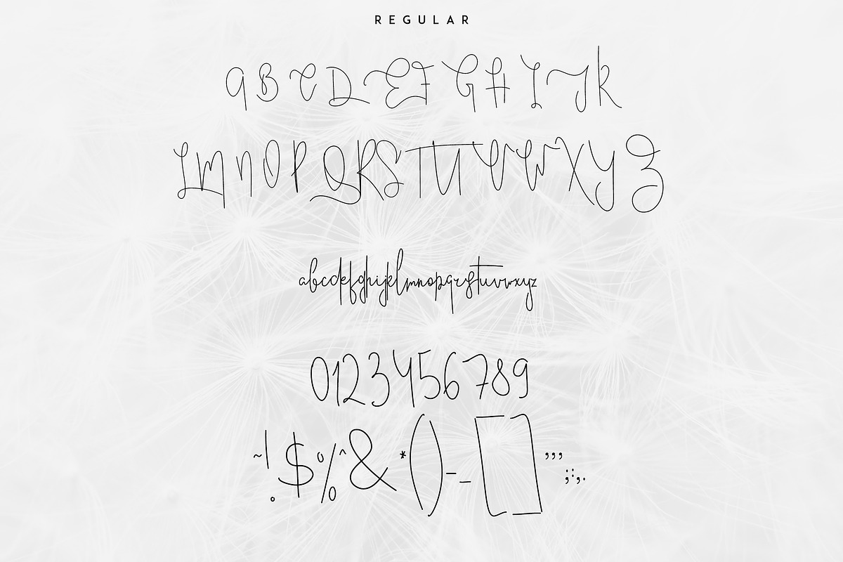 Good Wish Signature font -30% preview 7