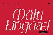 CS Marius Pixel, a Serif Font by Craft Supply Co. (Thumbnail 5 of 8)
