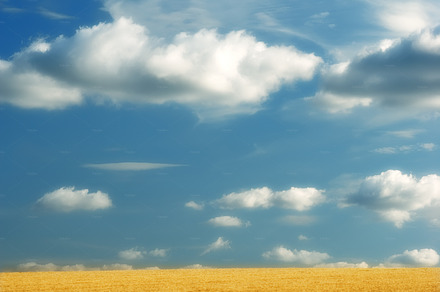 Harvest, a Photo by Peopleimages.com