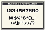 GDC Fuller Typeface, a Serif Font by GriffinDesignCompany (Thumbnail 3 of 8)