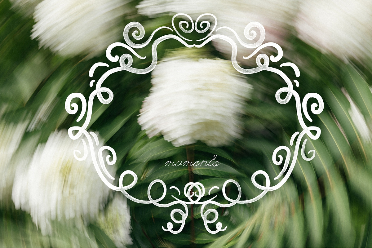 Delicate Flourish Frame Collection, an Object Graphic by PaperJamLab (Photo 9 of 10)