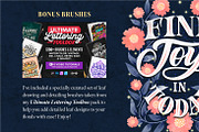 The Mega Floral Composition Kit, a Brush Add-On by Nico-Ng (Thumbnail 46 of 46)