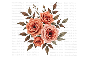 Terracotta Rose