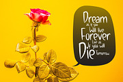Charletty, a Script Font by Kang1993 (Thumbnail 3 of 7)