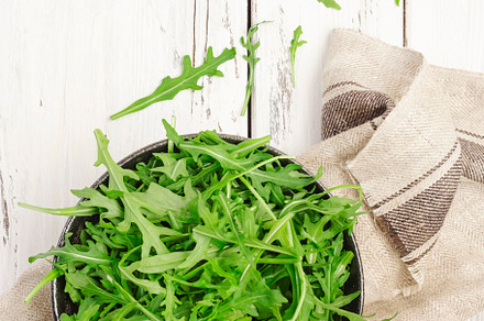 Fresh green arugula in rustic ceramic bowl on white kitchen tabl, a Food & Drink Photo by 5PH