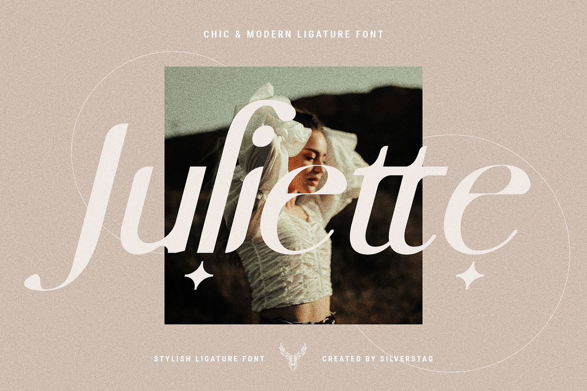 skylar - ligature sans font family, a Sans Serif Font by SilverStag Type Foundry (Photo 4 of 20)