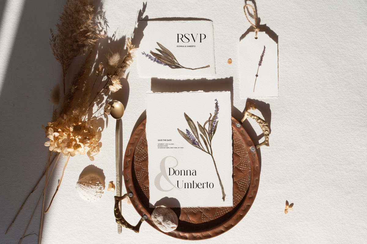 Herbarium II - Dried Pressed Flowers, an Illustration by AnaPierceArt (Photo 2 of 6)