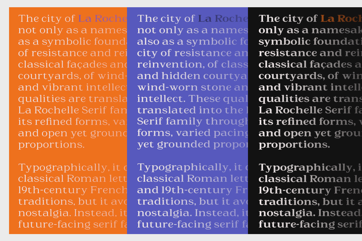 La Rochelle | Serif Family-83 Style, a Serif Font by Black Studio (Photo 13 of 15)