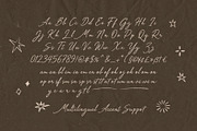 Royale Magnolia Romantic Vintage Duo, a Script Font by Tyasify (Thumbnail 14 of 15)