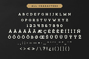 Tigreal Font Family + Illustrations, a Slab Serif Font by Craft Supply Co. (Thumbnail 3 of 8)