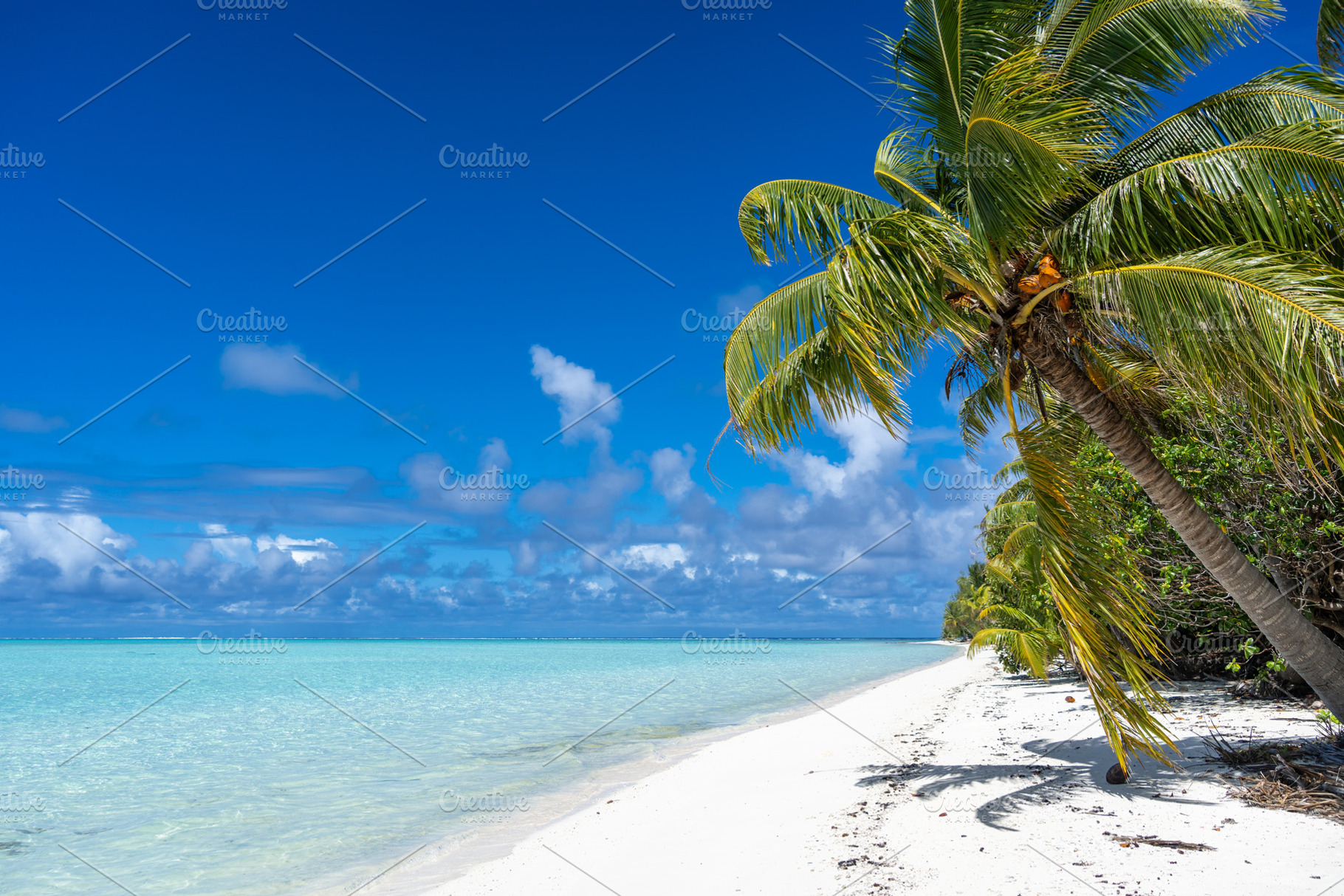 Idyllic white sand beach with coconut trees in Maupiti, French P, a Photo by GoodGoods