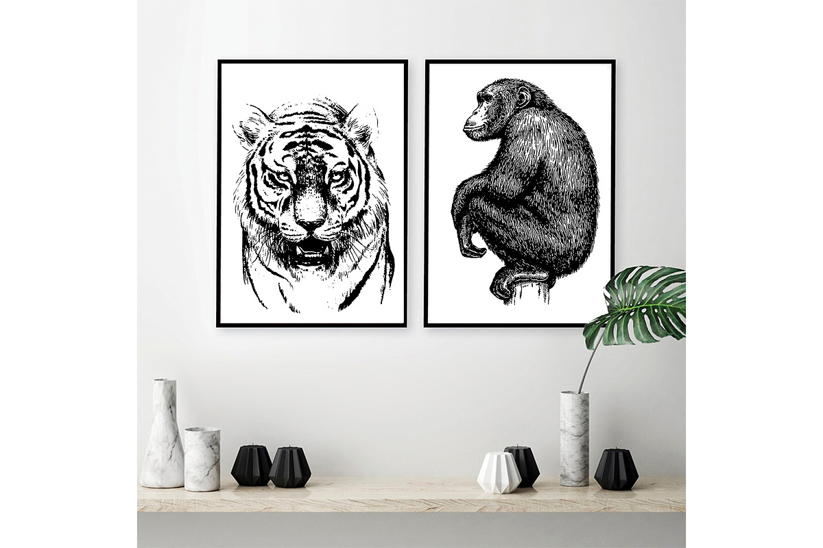 50 wild animals vector part 3, an Animal Illustration by AnastasiyaOleynik (Photo 4 of 9)