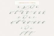 Saint Viet | Calligraphy Font, a Script Font by Calamar Studio (Thumbnail 24 of 29)