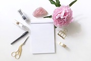 Pink Blossom Flatlay and Writing Pad, a Photo by Yolo Berlin (Thumbnail 2 of 2)