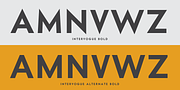 Intervogue, a Sans Serif Font by Miller Type Foundry (Thumbnail 8 of 14)