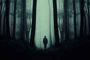 Haunted Halloween Forest Pack 1, a Holiday Photo by Atmospheric visuals (Thumbnail 4 of 6)