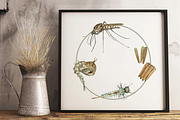 Mosquito Life Cycle Clip Arts, an Education Illustration by Tati Bordiu (Thumbnail 1 of 4)