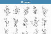 Greenery Procreate Stamps, a Brush Add-On by CaraulanStore (Thumbnail 2 of 8)
