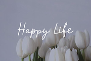 Lamelan, a Script Font by GlottaTypeface (Thumbnail 7 of 8)