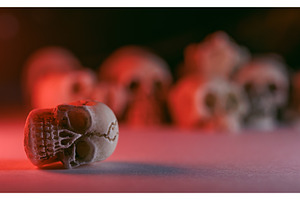 Miniature skulls background. Skull, a Holiday Photo by Lukas Jonaitis SHOP