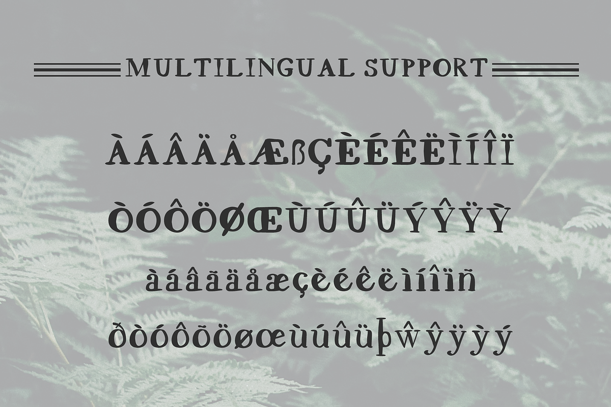 SCRAWNY EVE Hand Drawn Serif preview 6