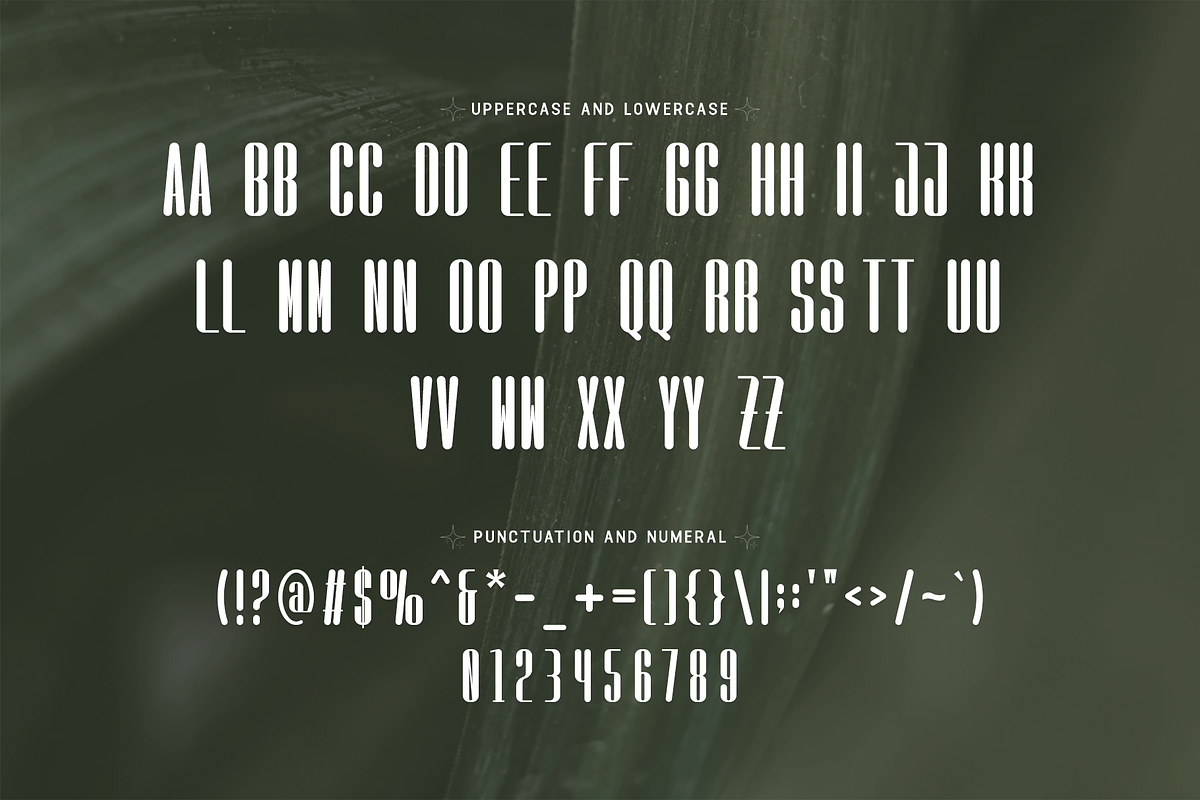 Floresta-Modern Sans Serif Typeface, a Sans Serif Font by overlaytemplates (Photo 4 of 5)