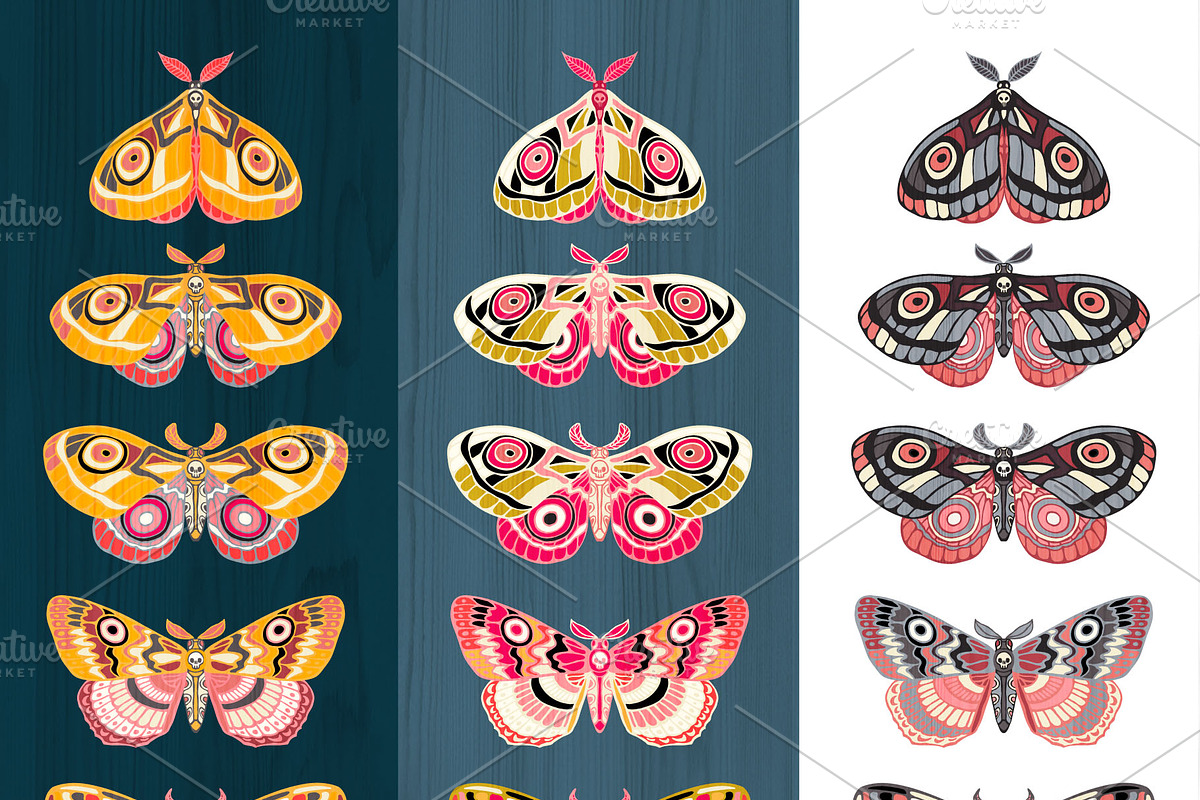 Night Moths, Butterflies Vector Set, a Graphic by Iraida_Bearlala (Photo 2 of 5)