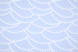 Blue And White Scallop Lace Pattern