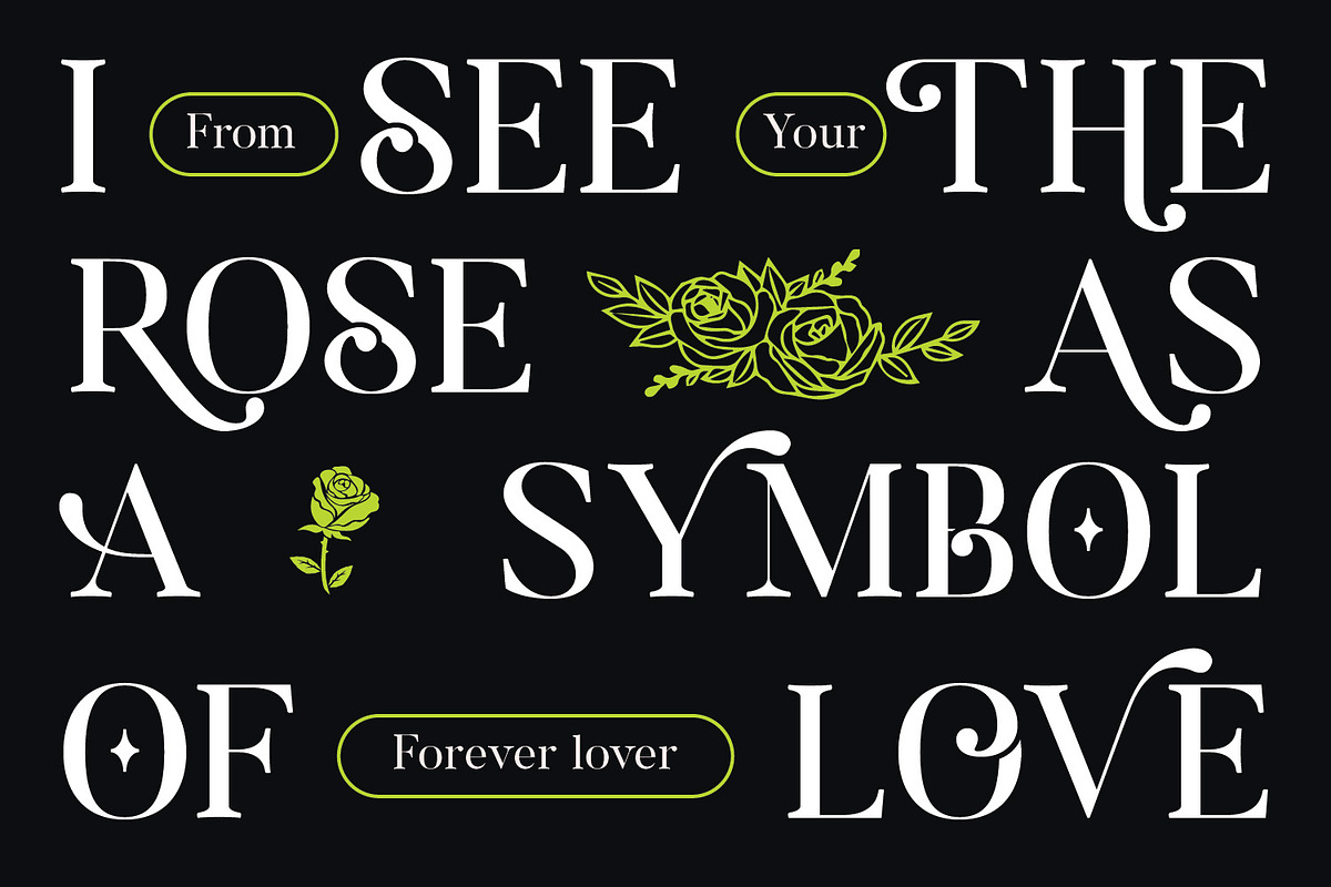 Molagane | Fancy Serif Typeface, a Serif Font by Qaratype (Photo 3 of 26)