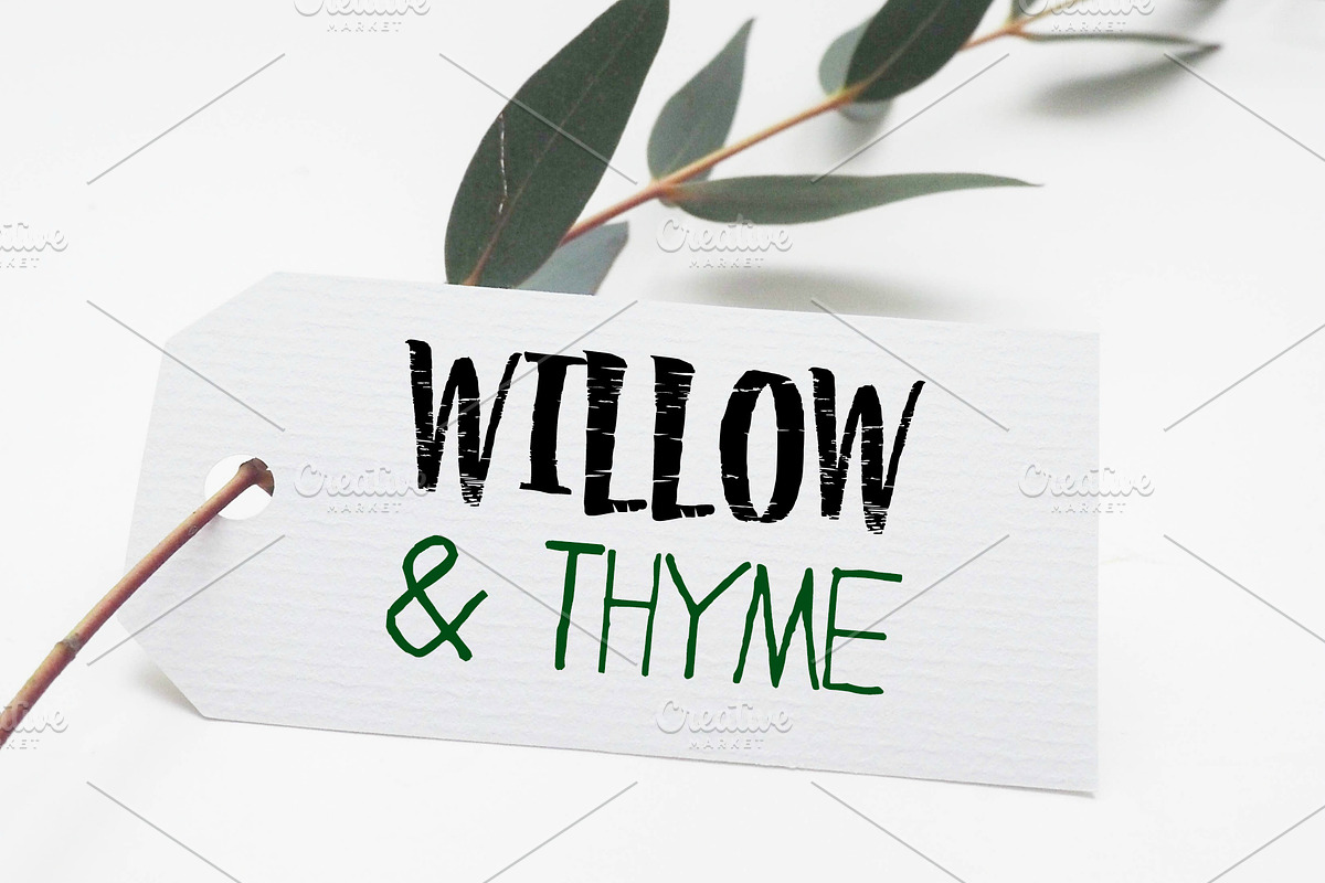 Willow & Thyme with Logo Ornaments