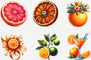 Watercolor Oranges Clipart, an Illustration by Black Bird Studio (Thumbnail 4 of 6)