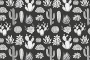 Cactus illustrations, an Illustration by adehoidar (Thumbnail 2 of 6)