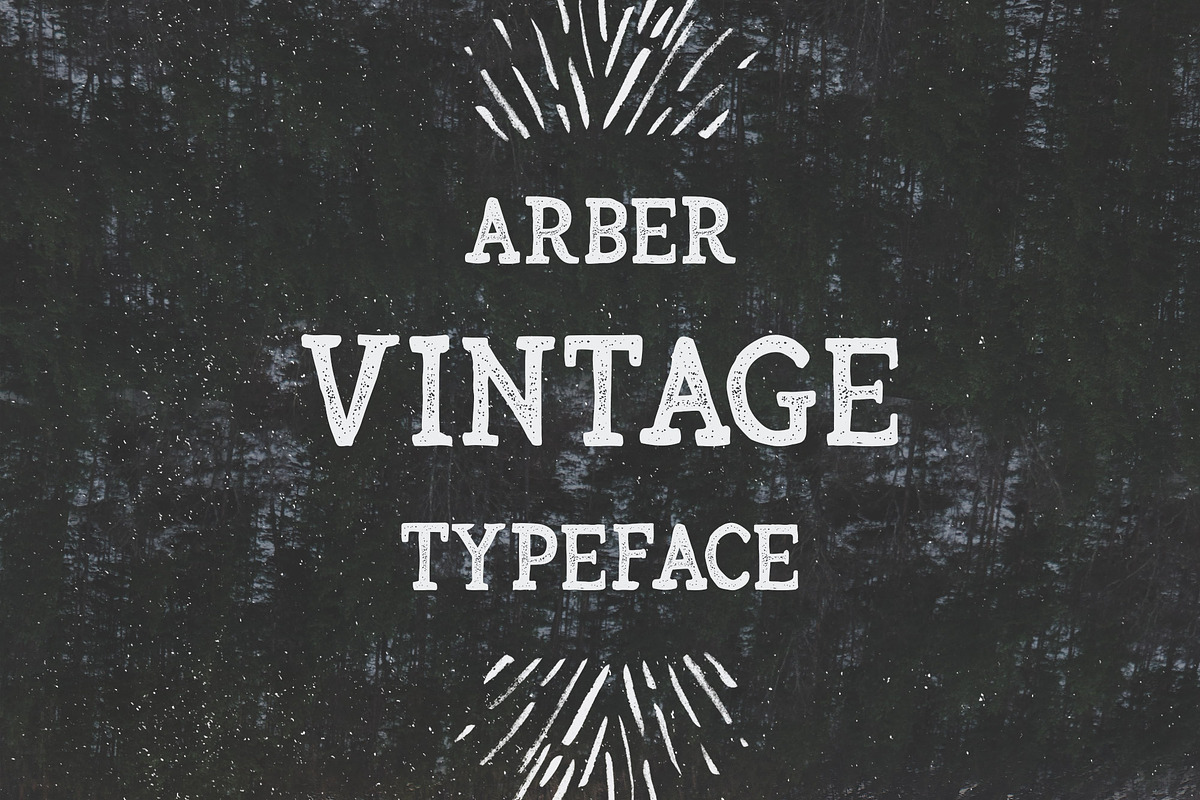 Arber Vintage font, a Script Font by Wild Ones (Photo 11 of 12)