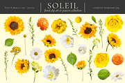 Soleil Floral Patterns & Clip Art, an Object Graphic by Eclectic Anthology (Thumbnail 13 of 13)