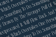 Mostlight Modern Alternate Serif, a Serif Font by Letterena Studios (Thumbnail 3 of 15)