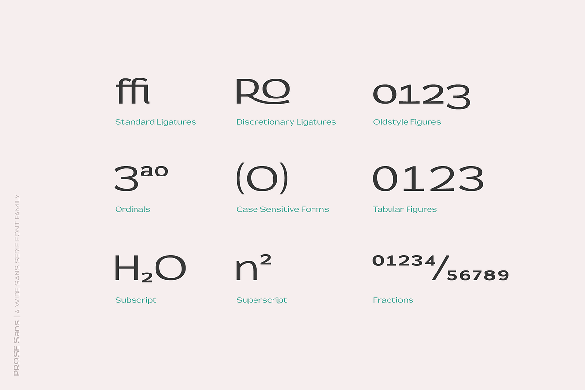 Prose Sans | Sans Serif Font Family, a Sans Serif Font by Ayca Atalay (Photo 10 of 11)