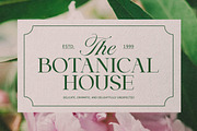 Stallion Font Duo, a Script Font by Suza Studio (Thumbnail 11 of 13)
