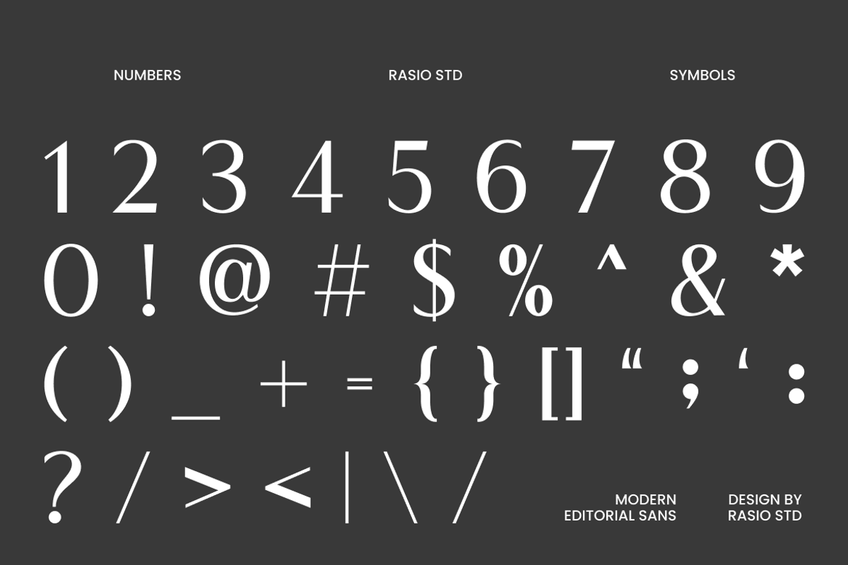 Monure Modern Editorial Sans Font, a Sans Serif Font by Rasio Studio (Photo 3 of 11)
