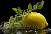 Citrus Art - 25 images, a Food Illustration by Handmadefont (Thumbnail 2 of 10)